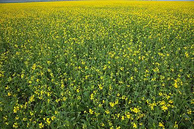 未来游戏展：《连环清道夫》9月22日全平台上市